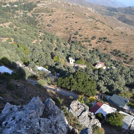 Villa Garden Of Olive Trees à Asfendiles Extérieur photo
