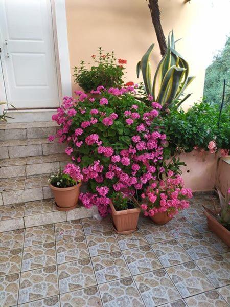 Villa Garden Of Olive Trees à Asfendiles Extérieur photo