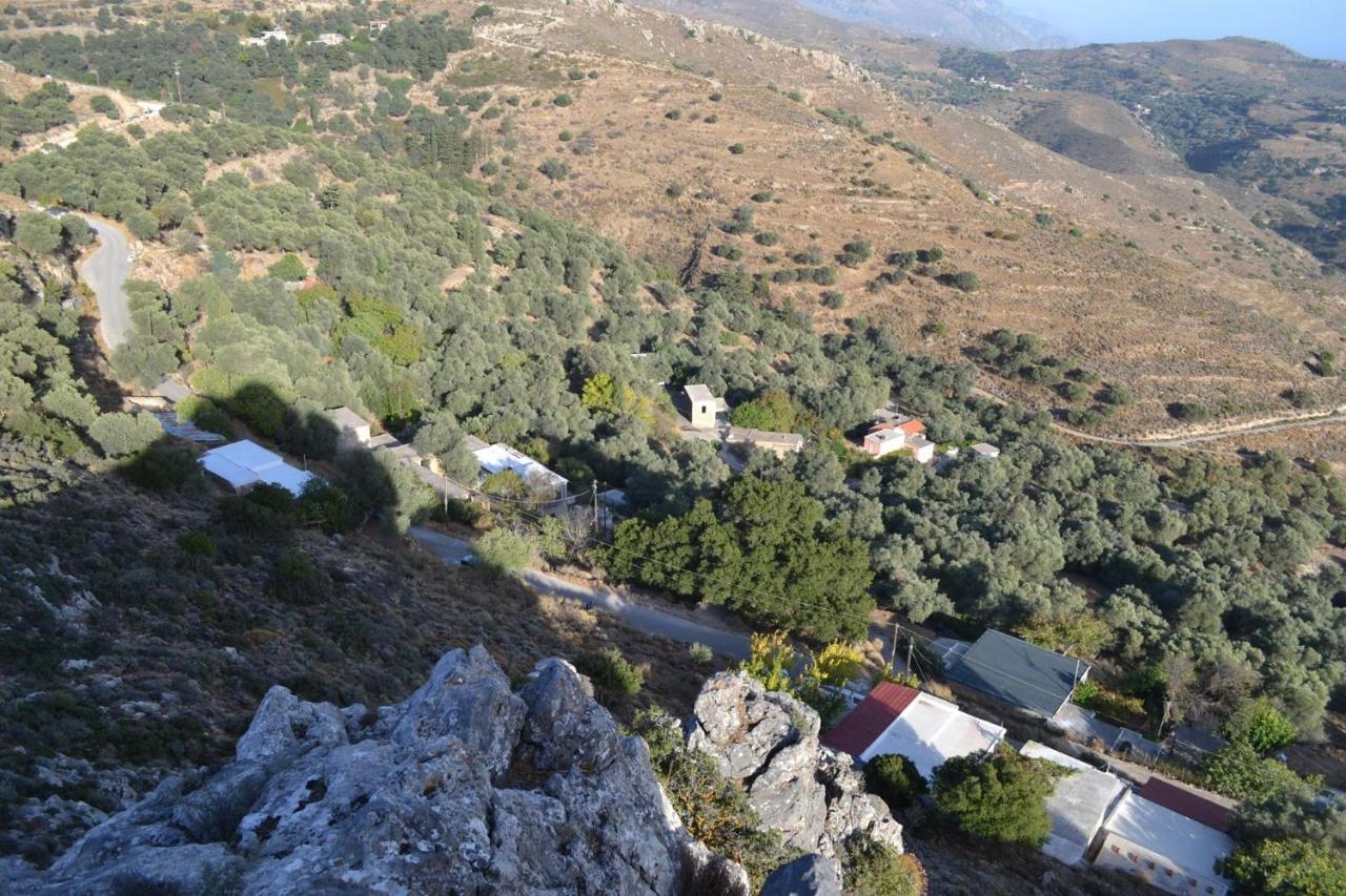 Villa Garden Of Olive Trees à Asfendiles Extérieur photo